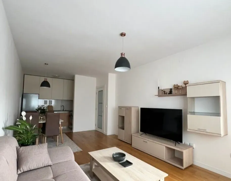 Izdavanje, jednosoban stan, 49m², Central Point, Podgorica