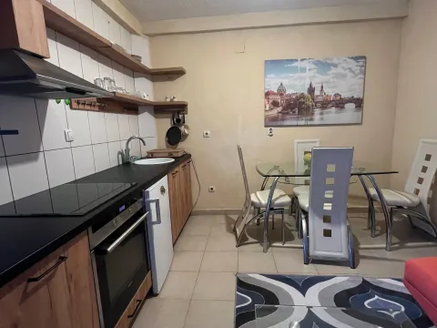 Rent, one bedroom apartment, 40m², Polje, Bar - image 4