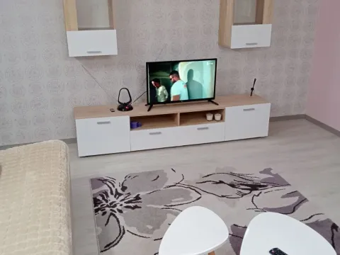 Izdavanje, dvosoban stan, 36m², Sajmište, Novi Sad - image 4