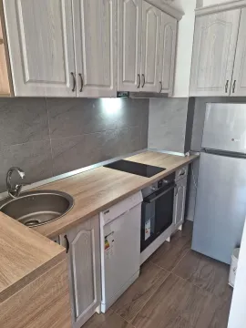 Rent, one bedroom apartment, 33m², Zabjelo, Podgorica - image 3