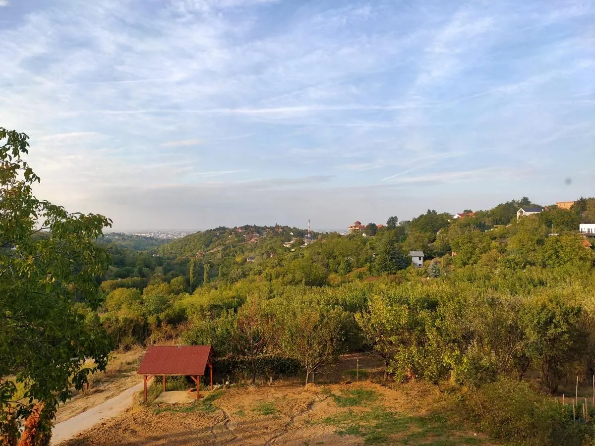 Prodaja, kuća, 180m², Sremska Kamenica, Petrovaradin