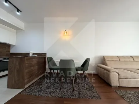 Izdavanje, jednosoban stan, 54m², Master Kvart, Podgorica - image 4