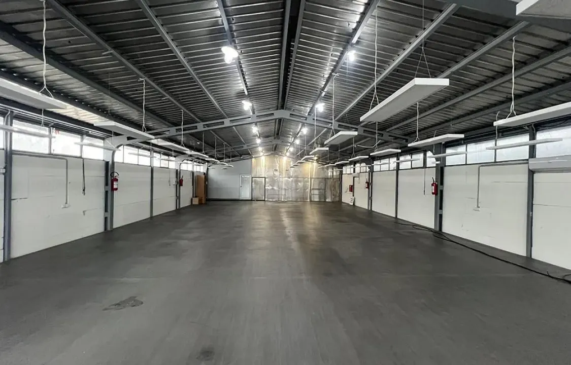 Izdavanje, poslovni prostor, 770m², Kneževac, Beograd