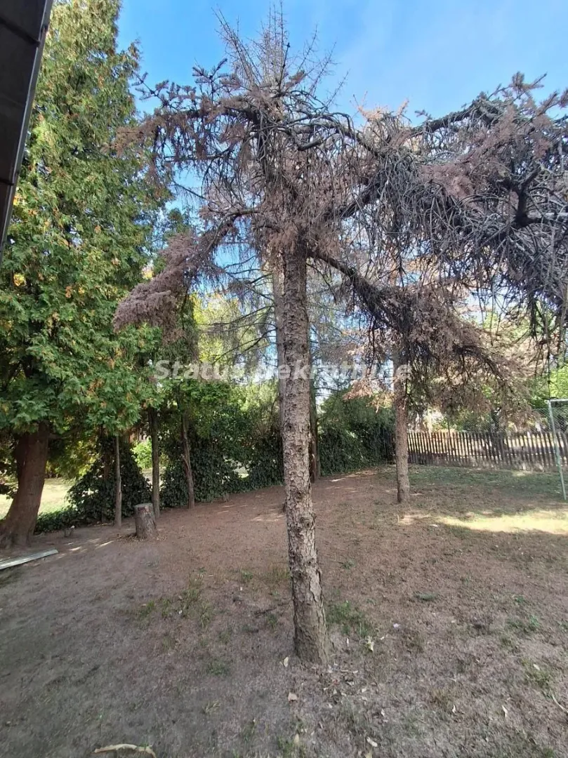Pogled na drveće u dvorištu nekretnine.