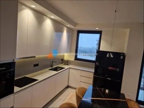 Izdavanje, četvorosoban stan, 109m², Savski Venac, Beograd - image 3