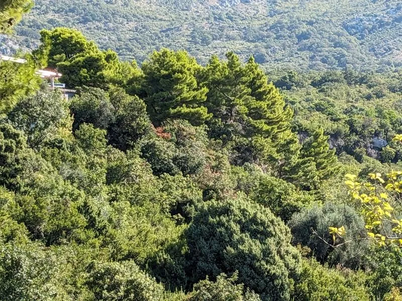 Prodaja, plac, 463m², Bar, Crna Gora