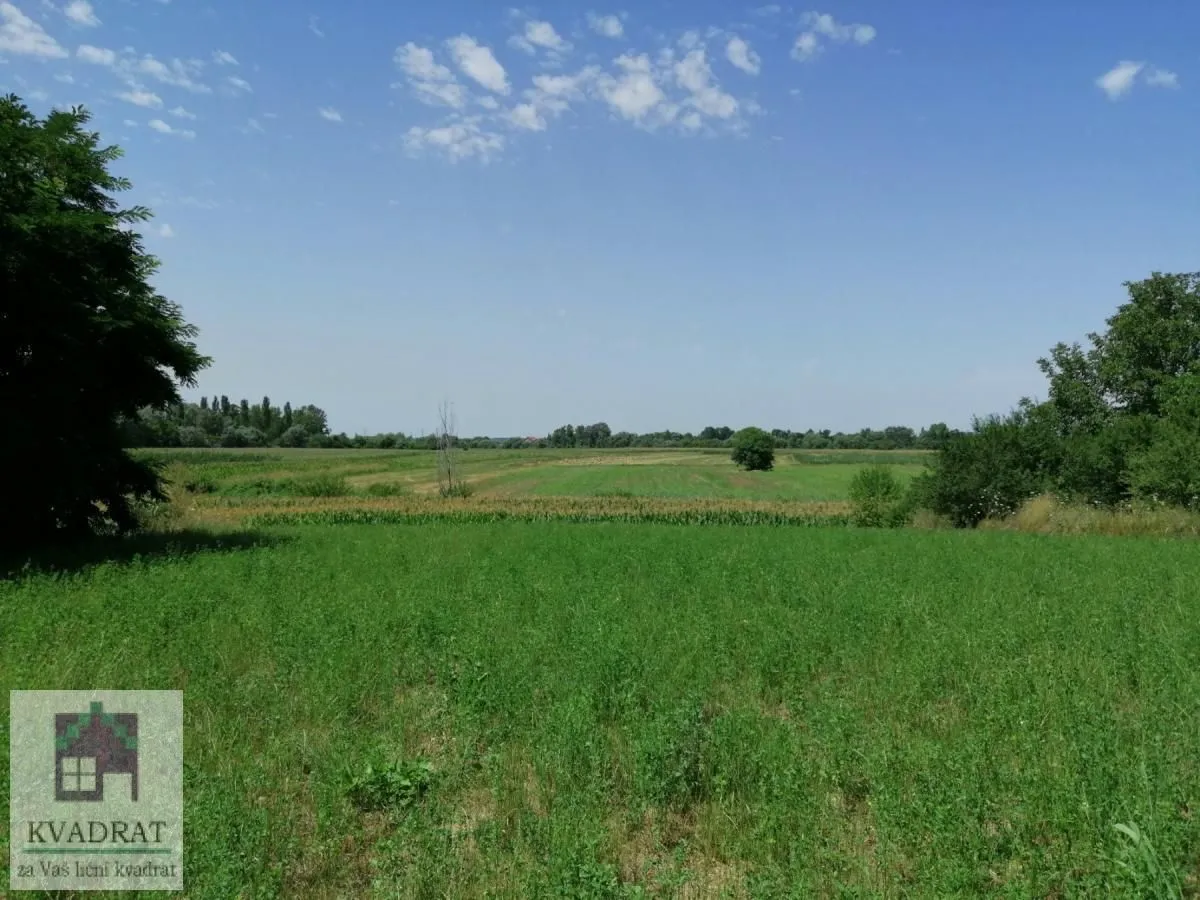 Sale, land lot, 2300m², Zvečka, Obrenovac