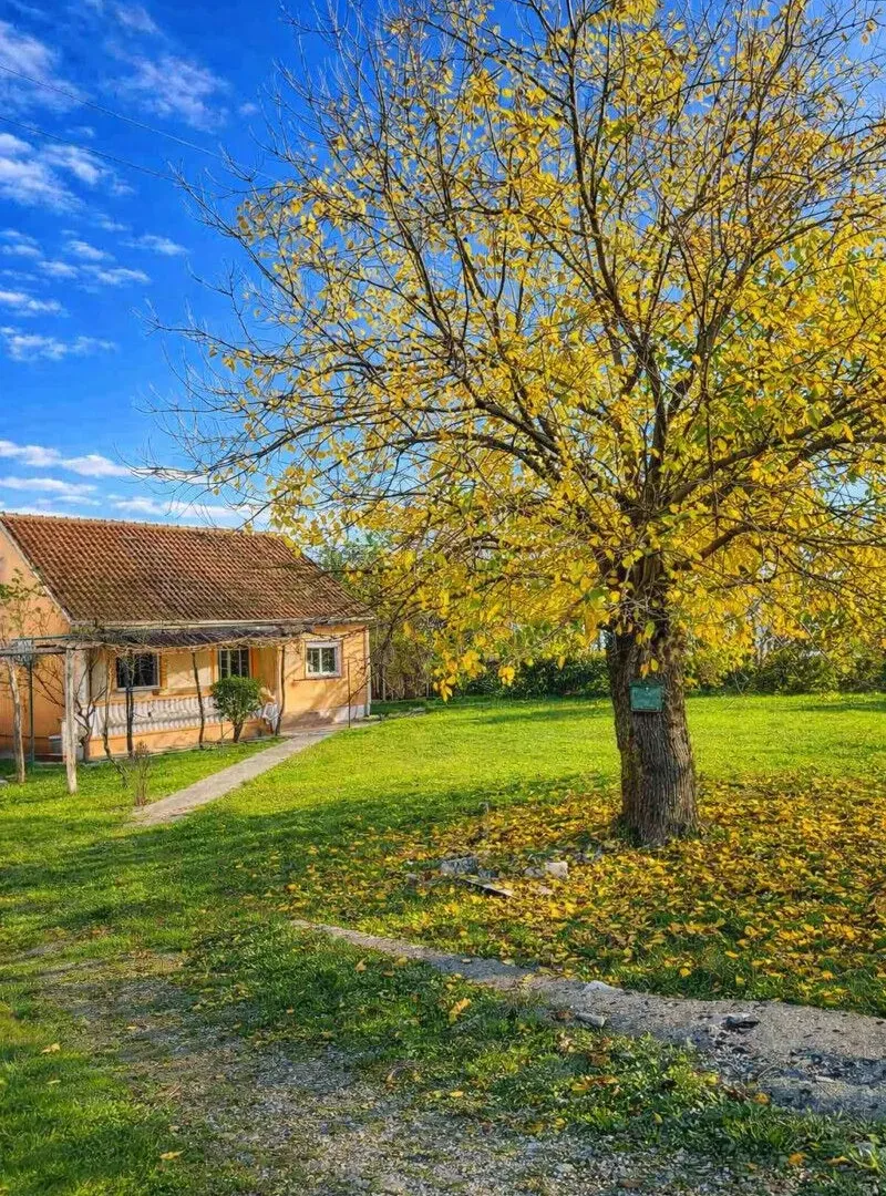 Rent, house, 80m², Ćurilac, Danilovgrad