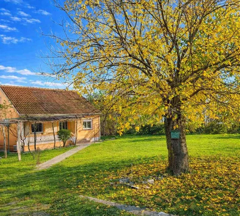 Izdavanje, kuća, 80m², Ćurilac, Danilovgrad