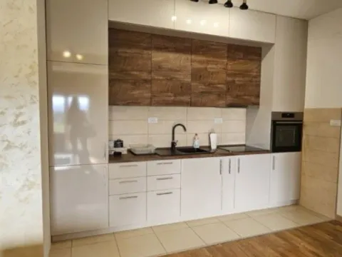 Izdavanje, jednosoban stan, 54m², Centar, Podgorica - image 3