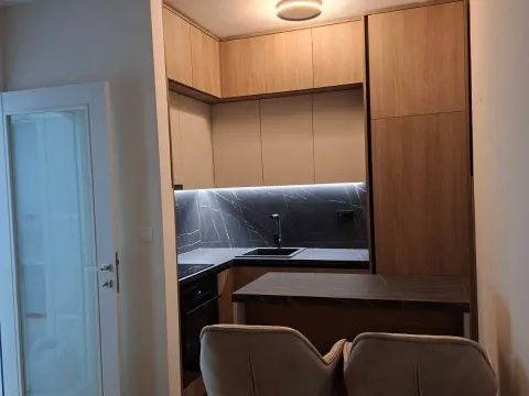 Sale, one bedroom apartment, 47m², Central Point, Podgorica - image 3