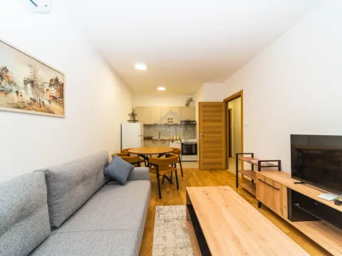 Izdavanje, jednosoban stan, 40m², Tološi, Podgorica - image 3