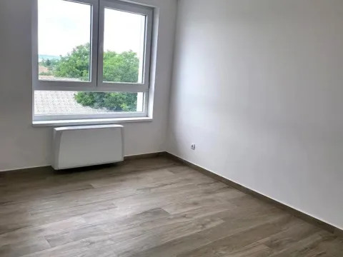 Rent, three bedroom apartment, 80m², Zemun Sve Podlokacije, Beograd - image 11