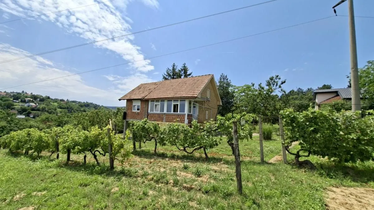 Prodaja, plac, 3000m², Bocke, Petrovaradin