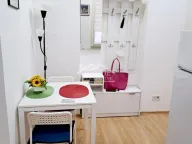 Izdavanje, jednosoban stan, 24m², Vračar Centar, Vračar Sve Podlokacije - image 7