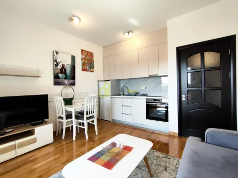 Rent, one bedroom apartment, 45m², Kod Big Fashion-a, Podgorica - image 2