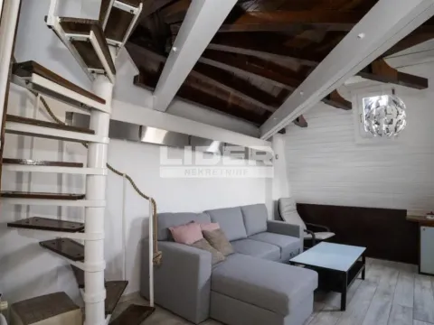 Izdavanje, dvosoban stan, 52m², Vračar Centar, Vračar Sve Podlokacije - image 6