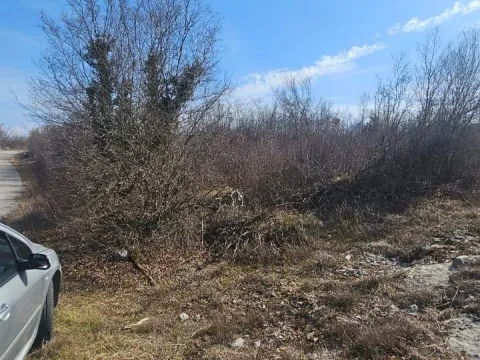 Prodaja, plac, 7000m², Podgorica, Crna Gora - image 6