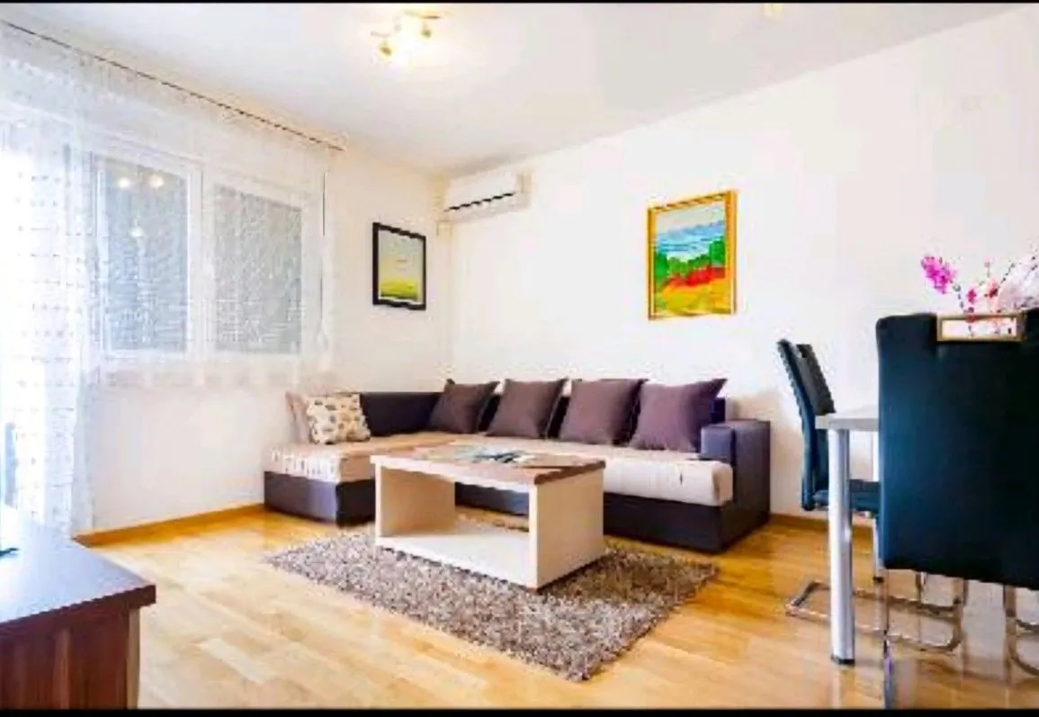 Izdavanje, jednosoban stan, 45m², Stari Aerodrom, Podgorica