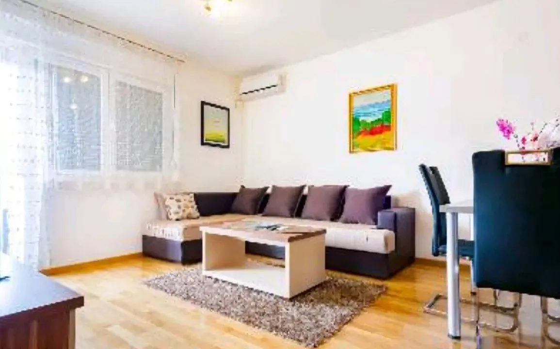 Izdavanje, jednosoban stan, 45m², Stari Aerodrom, Podgorica