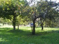 Sale, land lot, 2200m², Lipci, Kotor - image 5