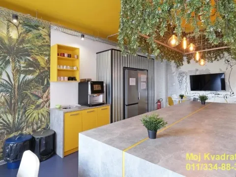 Izdavanje, poslovni prostor, 40m², Savski Venac, Beograd - image 12