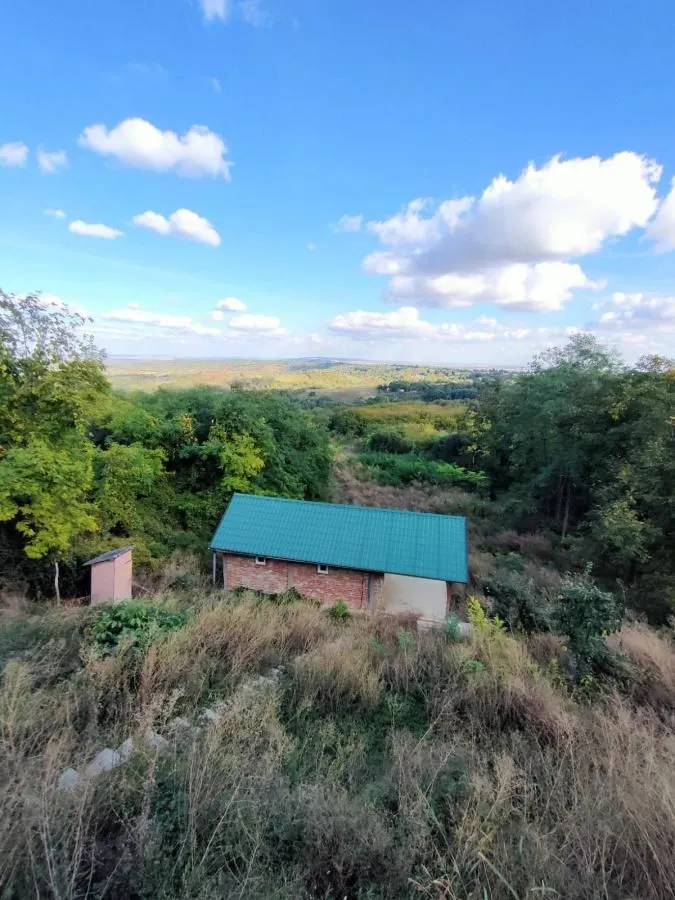 Prodaja, plac, 5000m², Irig, Srbija