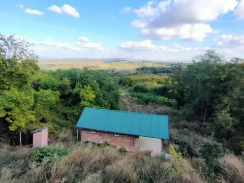 Prodaja, plac, 5000m², Irig, Srbija - image 16