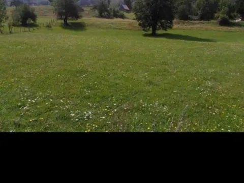 Prodaja, plac, 500m², Blatina, Kolašin - image 4