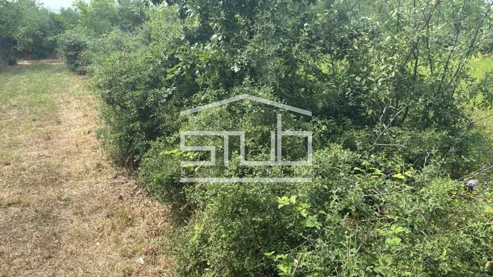 Prodaja, plac, 990m², Mislodjin, Obrenovac
