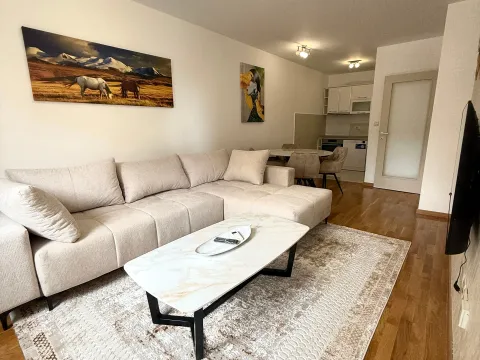 Rent, one bedroom apartment, 45m², Zagorič, Podgorica - image 1