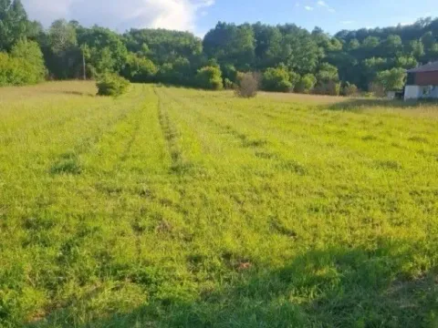 Sale, land lot, 3000m², Kruševac, Srbija - image 2