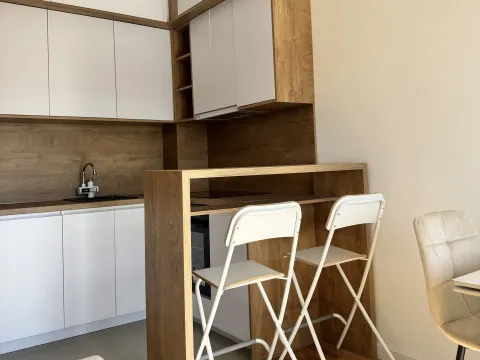 Izdavanje, jednosoban stan, 47m², Zabjelo, Podgorica - image 4