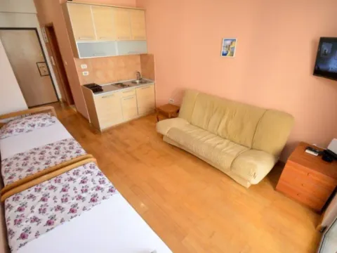 Izdavanje, garsonjera, 25m², Centar, Budva - image 2