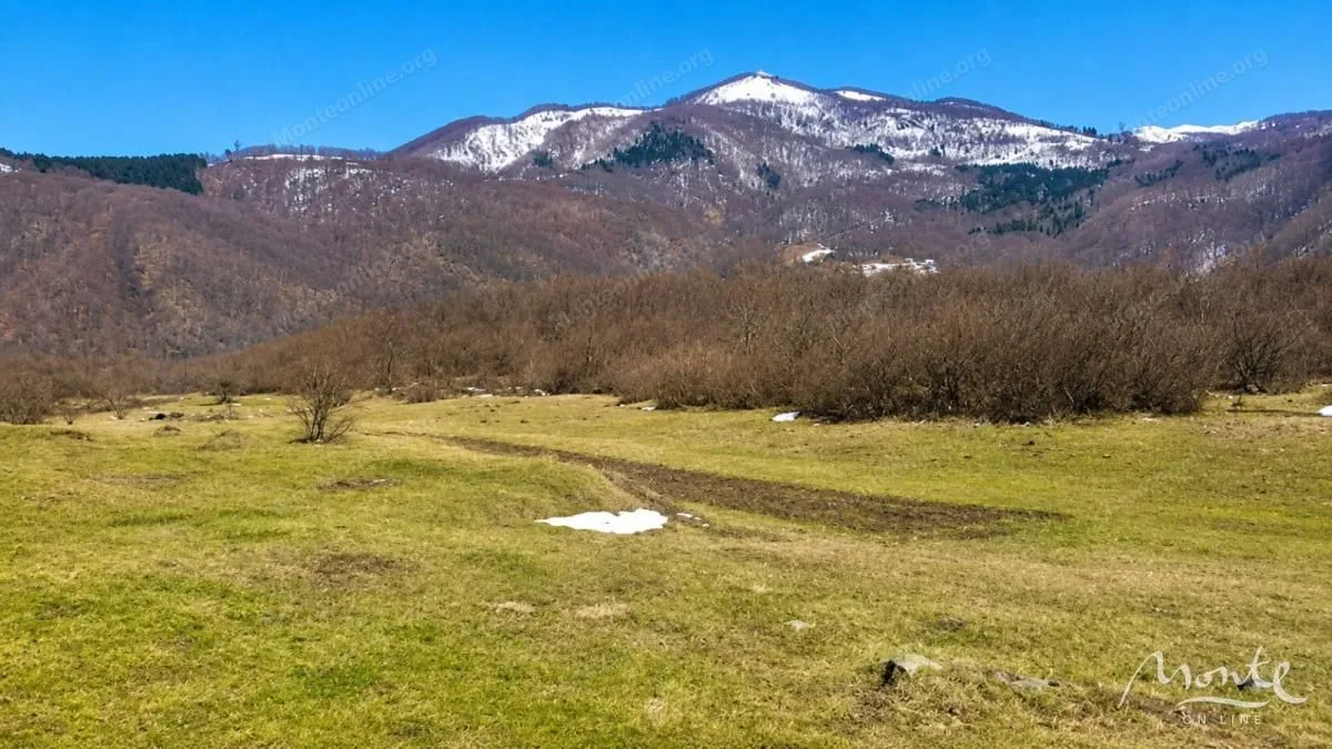 Prodaja, plac, 8000m², Kolašin, Crna Gora