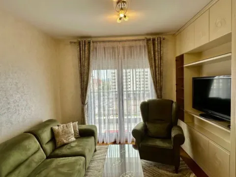 Izdavanje, jednosoban stan, 49m², Tološka šuma, Podgorica - image 3