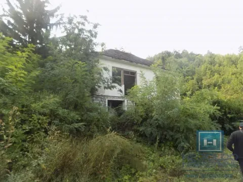 View of an old house surrounded by lush vegetation and trees. - image 2