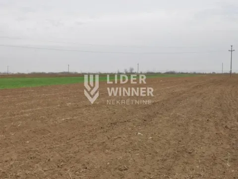 Prodaja, plac, 32930m², Jakovo, Surčin - image 8