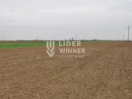 Prodaja, plac, Jakovo, Surčin - image 8