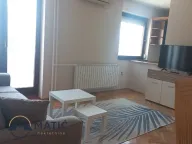 Izdavanje, jednosoban stan, 41m², Rotkvarija, Novi Sad Sve Podlokacije - image 2