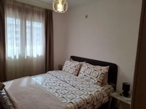 Izdavanje, jednosoban stan, 45m², Stari Aerodrom, Podgorica - image 4