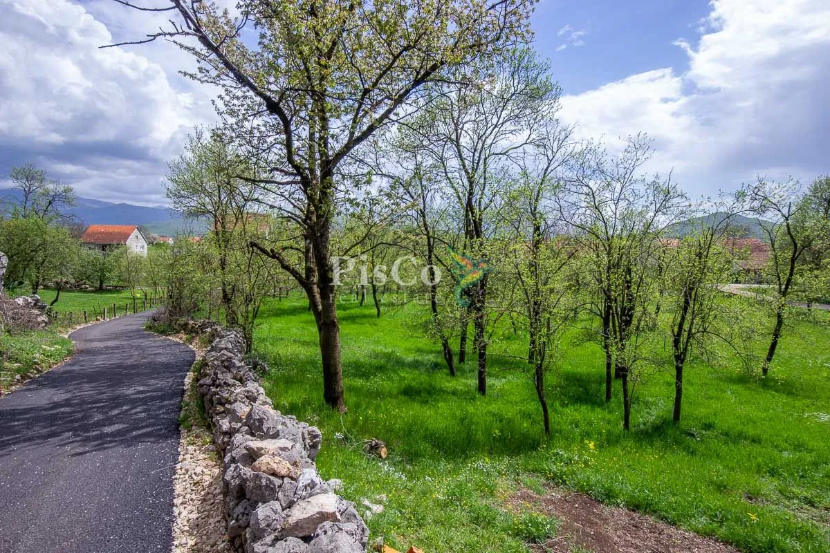 Prodaja, plac, 1241m², Nikšić, Crna Gora