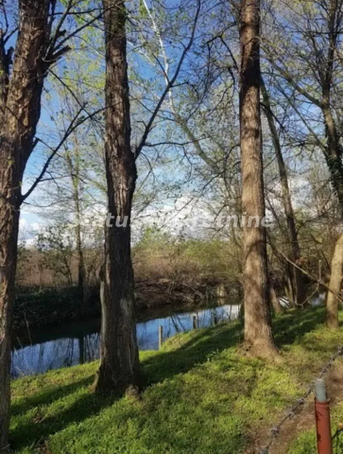 Prodaja, kuća, 465m², Bačka Topola, Srbija