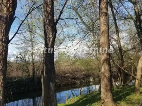 Prodaja, kuća, 465m², Bačka Topola, Srbija - image 4