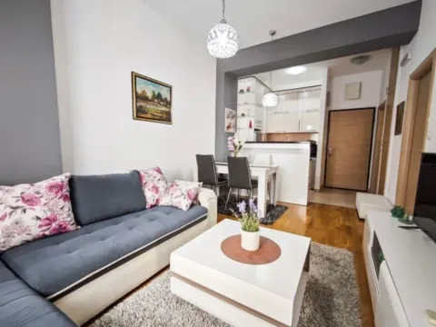 Izdavanje, jednosoban stan, 42m², Ljubović, Podgorica - image 3