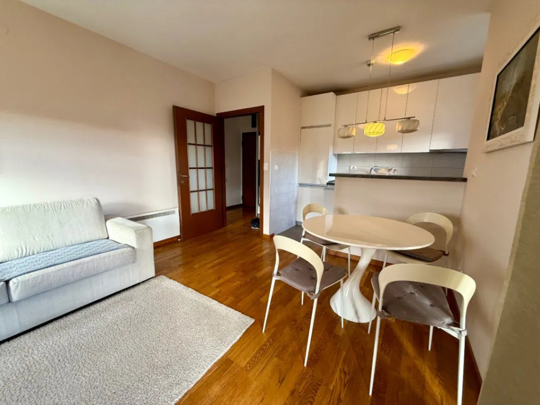 Izdavanje, jednosoban stan, 50m², City Kvart, Podgorica