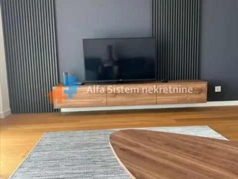 Rent, two bedroom apartment, 60m², Novi Beograd Blok 65, Novi Beograd Sve Podlokacije - image 2