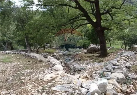 Prodaja, plac, Risan, Kotor - image 14