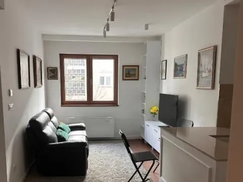 Izdavanje, jednosoban stan, 36m², Vračar Hram, Vračar Sve Podlokacije