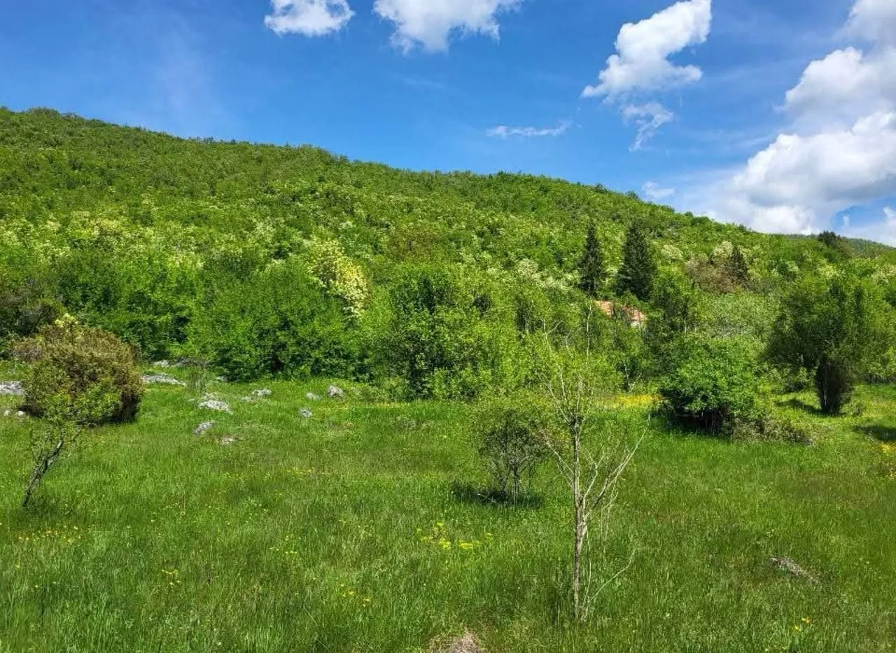 Prodaja, plac, 160000m², Centar, Nikšić